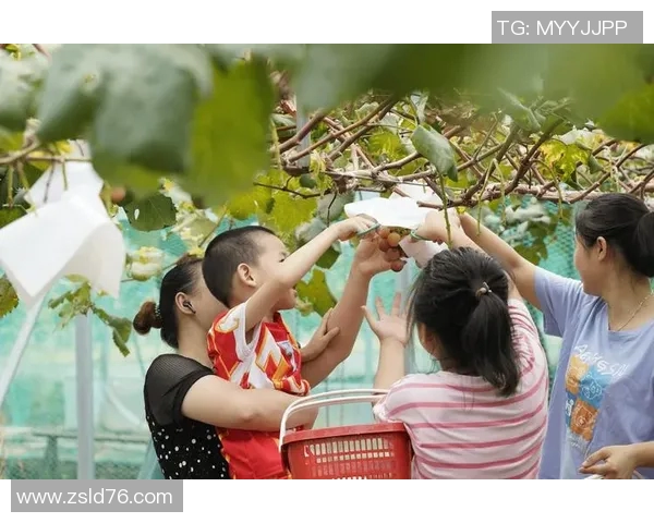 果园采摘乐趣体验，感受丰收季节的自然魅力与美好时光