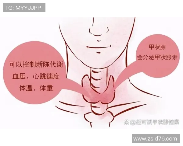 游泳对心理健康的积极影响与改善情绪的科学机制分析